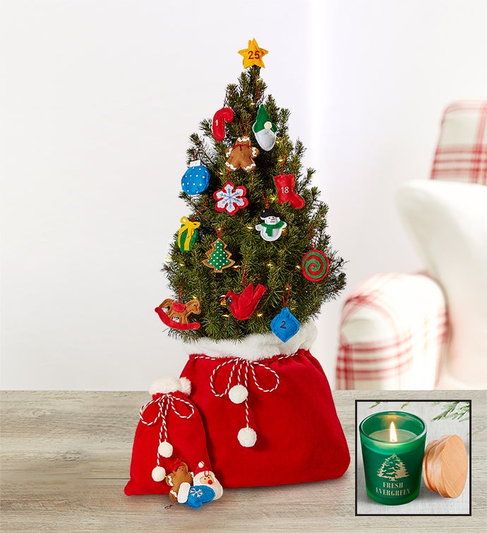 Santa’s Surprise Spruce Tree + Free Candle